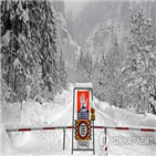 스키,눈사태,오스트리아,독일