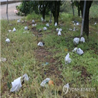 농작물,지원,가입