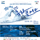 콘서트,수영대회,조직위