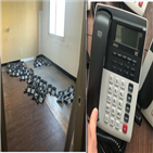 조직,보이스피싱,대포폰