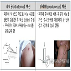 백신,결핵,국가출하승인,경피,접종,비소,식약처