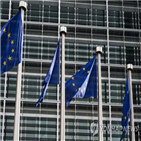 워킹,청년,비율,회원국,가운데