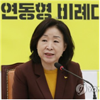 선거제,개혁,전체회의,정개특위,입장