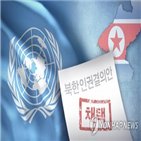 북한,유엔,앰네스티,항목,권고