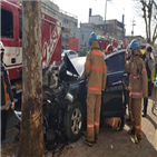 가로수,차량,사고