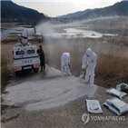 검출,항원,방역