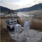 검출,항원,강화