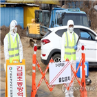 접종,구제역,백신,충북,농가,지역,이날