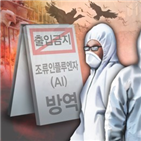 구제역,울산가축시장,돼지,접종