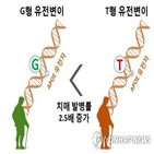 치매,박테리아,장내,환자,연구,연구팀