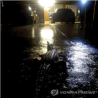 악어,폭우,주민,지역