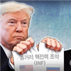 미국,유럽,러시아,발사대,미사일