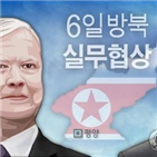 북한,특별대표,평양,실무협상,미국,북미정상회담