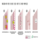 자연살해세포,손상,신경,제거,연구팀