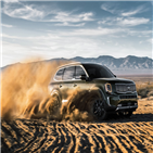 텔루라이드,3만1,국내