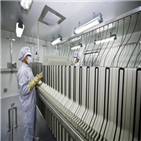 증가,매출,녹십자,지난해,전년