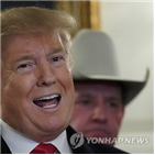 트럼프,장벽,건설,대통령,에베레스트산