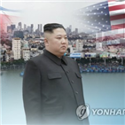 북한,신설,보험사,손보사,가능성,국내