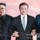 대통령,트럼프,비핵화,위원장,북미,회담,중재역,정상,청와대