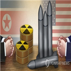 북한,평가,핵탄두,핵무기