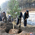 나무,심기,간부,북한,신문