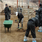 개선,축산환경