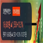 크린앤사이언스,차트,기사,상승세