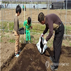 도시농업,경기도,강화,종합계획