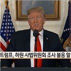 트럼프,대통령,조사,달러,하원,사법위원회