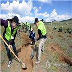 경기도,그루,중국