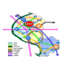 이천,도시기본계획,기능,계획