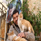 고양이,시리아,사람,알레포
