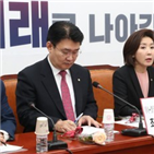 법안,패스트트랙,한국당,민주당,출근,추진