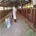 한우,농가,헬퍼,이용