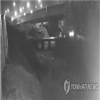 범행,경찰,벤츠