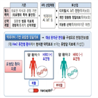 특허,발명,특정,기술,효과