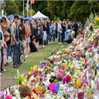 테러,총격,장면,호주,매체,방송,조사