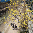 강원,농도,0.5,유의