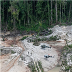 아마존,열대우림,브라질,개발,지역,파괴,조사,대통령,보우소나