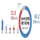찬성,공수처,반대,설치,조사