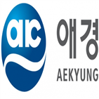 매출,증가,중국,전망,실적