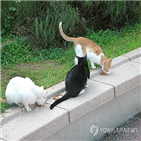 폭행,피해자,혐의,이웃