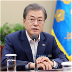 한반도,대통령,대화,과거,한미,노력,남북미,한미정상회담