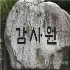 경비,감사,감사원,특정업무,조세심판원,조사