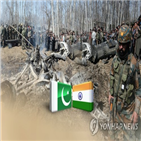 파키스탄,인도,격추,전투기,관리