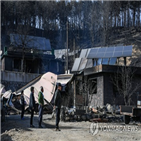 지원,산불,현장,강원도