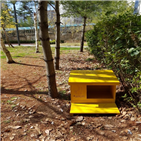 급식소,길고양이