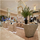 화장품,부문,신세계인터내셔날