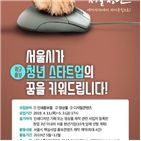 제작,청년,서울시