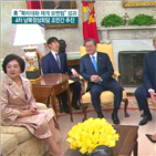 대통령,트럼프,남북정상회담,북미정상회담,이후,설명,추진